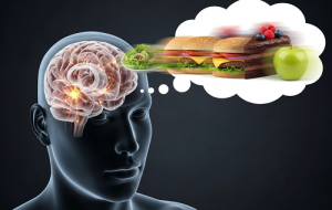 مغز شما قبل از اینکه حتی بفهمید چی رو نگاه میکنید، انتخابهای غذایی رو انجام میده مغز شما قبل از اینکه حتی بفهمید چی رو نگاه میکنید، انتخابهای غذایی رو انجام میده